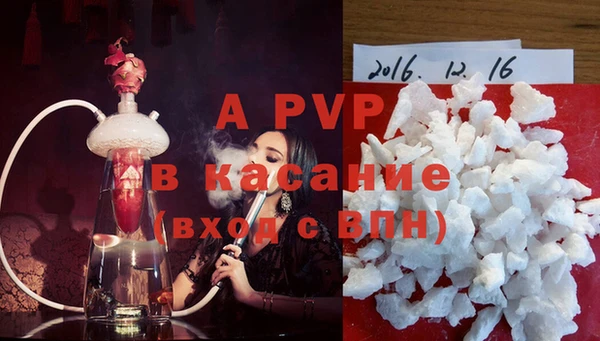 стафф Белокуриха