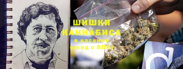 стафф Белокуриха