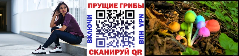 Псилоцибиновые грибы Cubensis  Короча 