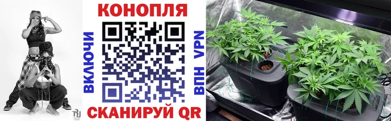 как найти закладки  Короча  гидра ссылки  Канабис марихуана 